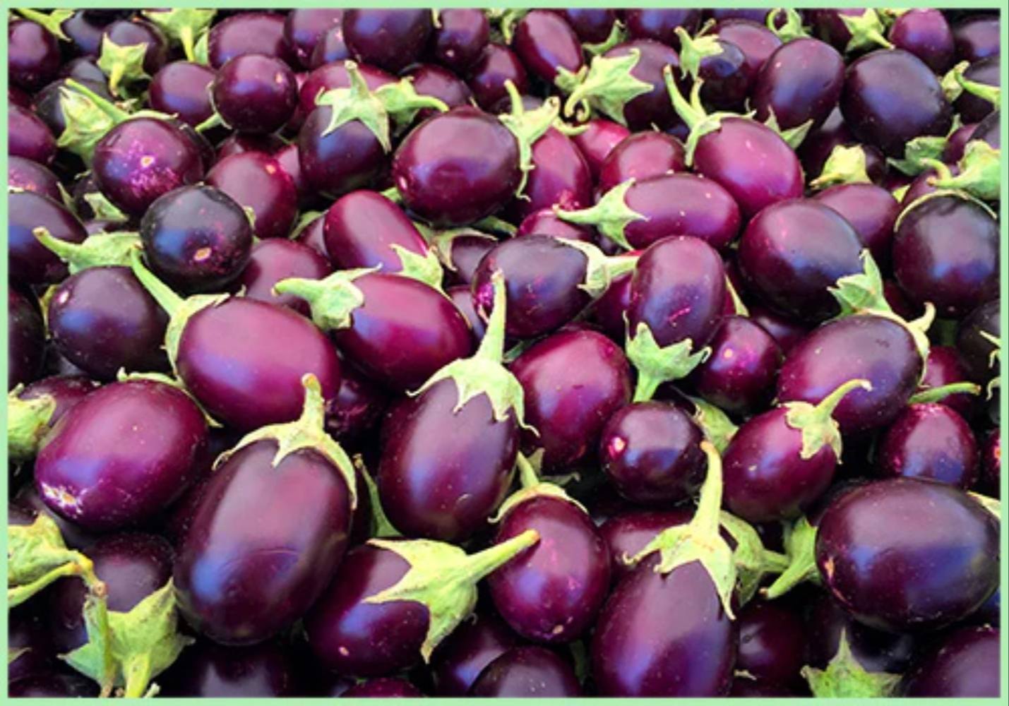 OEM & Bulk Packaging Supply