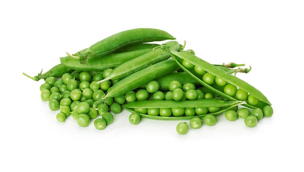 OEM & Bulk Packaging Supply